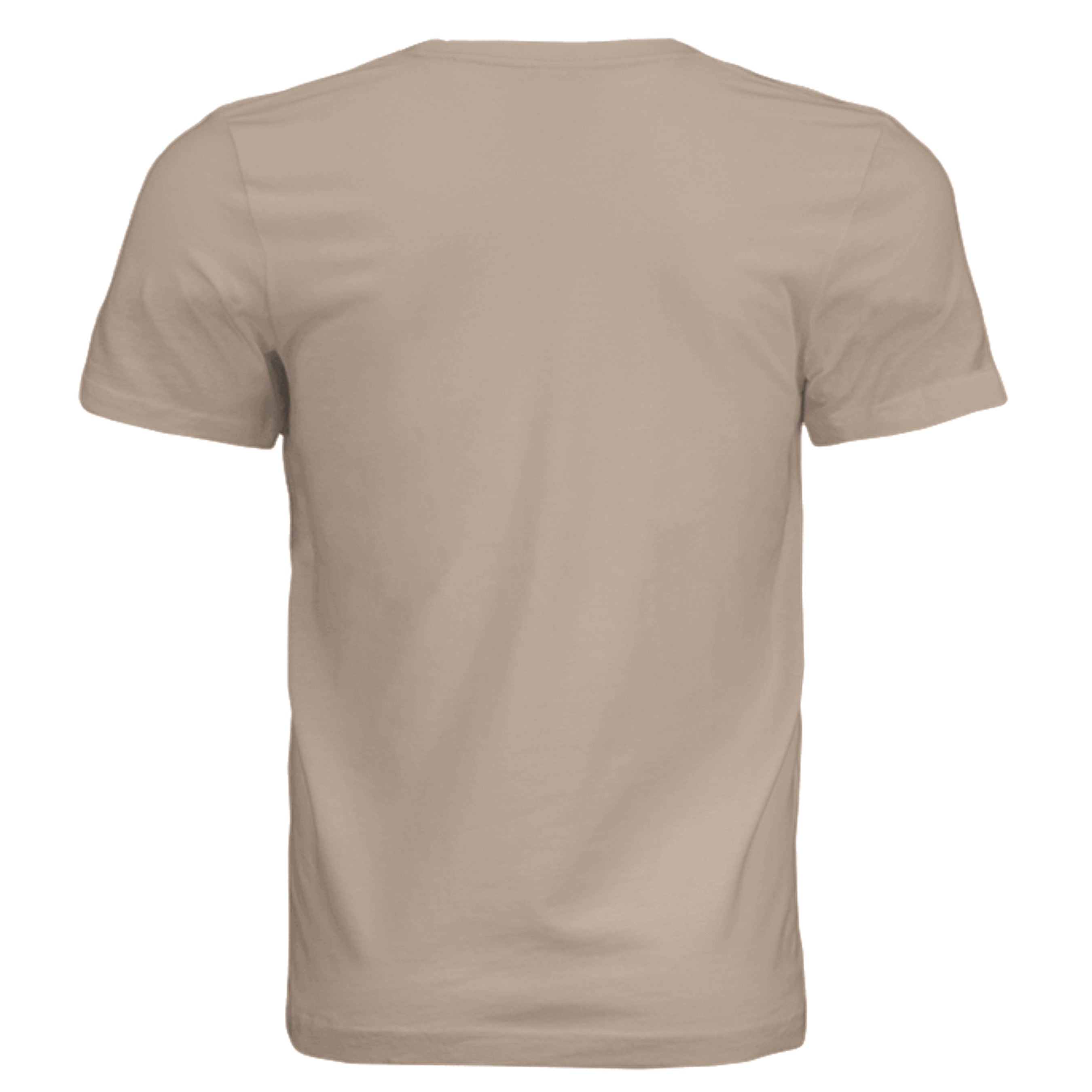 Dust - 3001C - BACK